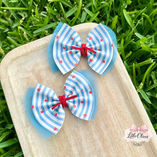 PATRIOTIC STAR STRIPE PIGGY SET